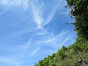 大文字山京都トレイル23