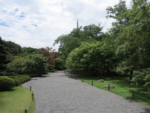 東寺11