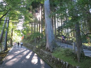 延暦寺スカイライン13