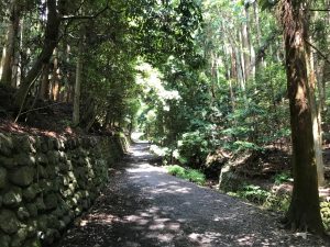 大文字山京都トレイル8