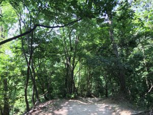 大文字山京都トレイル10