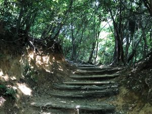 大文字山京都トレイル11