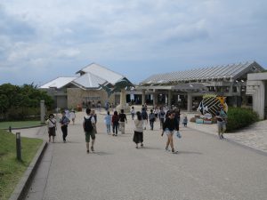 美ら海水族館15