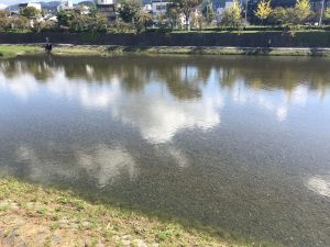 鴨川上り16