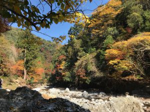 清滝紅葉4