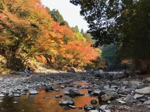清滝紅葉7