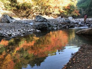 清滝紅葉8