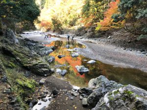清滝紅葉15
