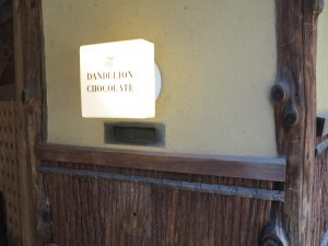 ダンデライオン7