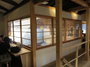 ダンデライオン22