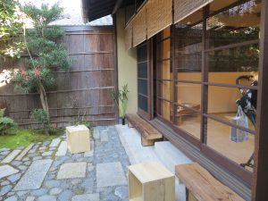 ダンデライオン24