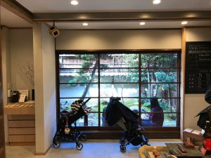 ダンデライオン1