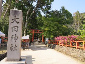 ５月の京都観光に穴場的オススメ 太田神社の杜若園 京都観光とグルメのブログ