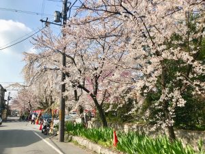 平野神社
