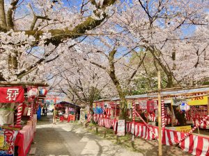 平野神社7