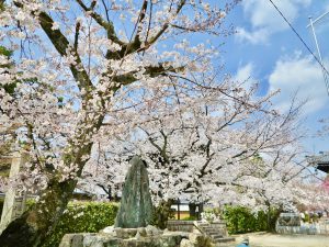 妙顕寺