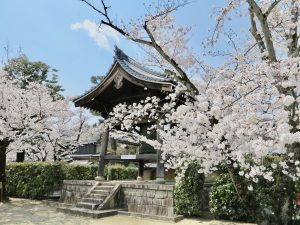 妙顕寺4
