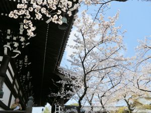 妙顕寺13