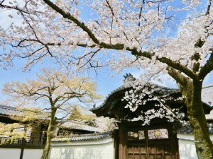 妙顕寺12
