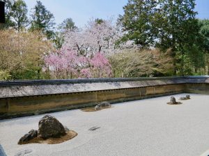 実は 桜の寺 としても名高い京都の世界遺産 龍安寺 京都観光とグルメのブログ