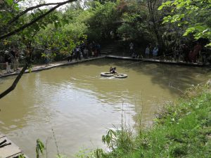 甲賀の里忍術村9