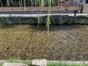 京都散歩コース15