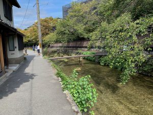 京都散歩コース8