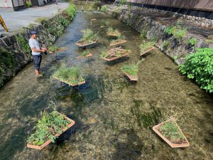 京都散歩コース7