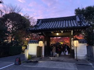 青蓮院紅葉ライトアップ15