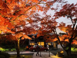 青蓮院紅葉ライトアップ14