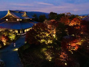 青蓮院紅葉ライトアップ11