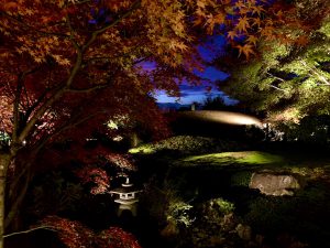 青蓮院紅葉ライトアップ6