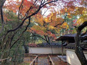 高桐院2