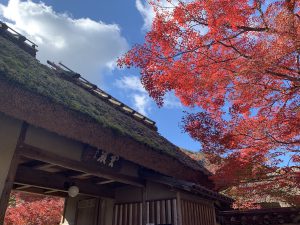 嵯峨嵐山紅葉26