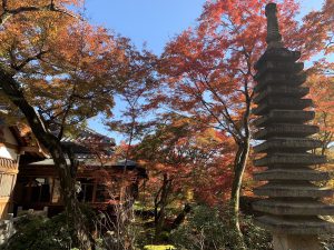 嵯峨嵐山紅葉19