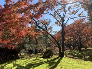嵯峨嵐山紅葉17