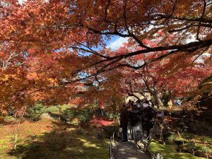 嵯峨嵐山紅葉16
