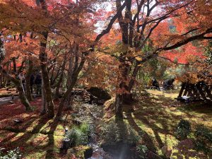 嵯峨嵐山紅葉14