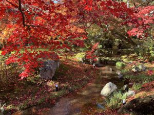 嵯峨嵐山紅葉12