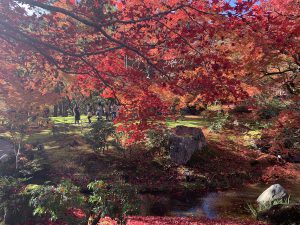 嵯峨嵐山紅葉11