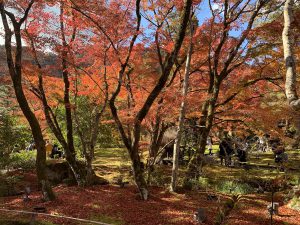 嵯峨嵐山紅葉9