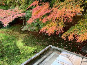 光明院14