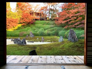 光明院8