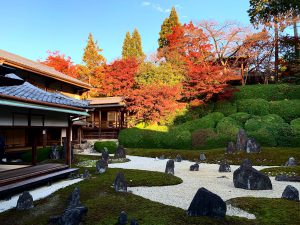 光明院6