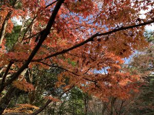 一休寺9