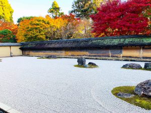龍安寺紅葉紅葉13